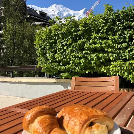Mont Blanc View *